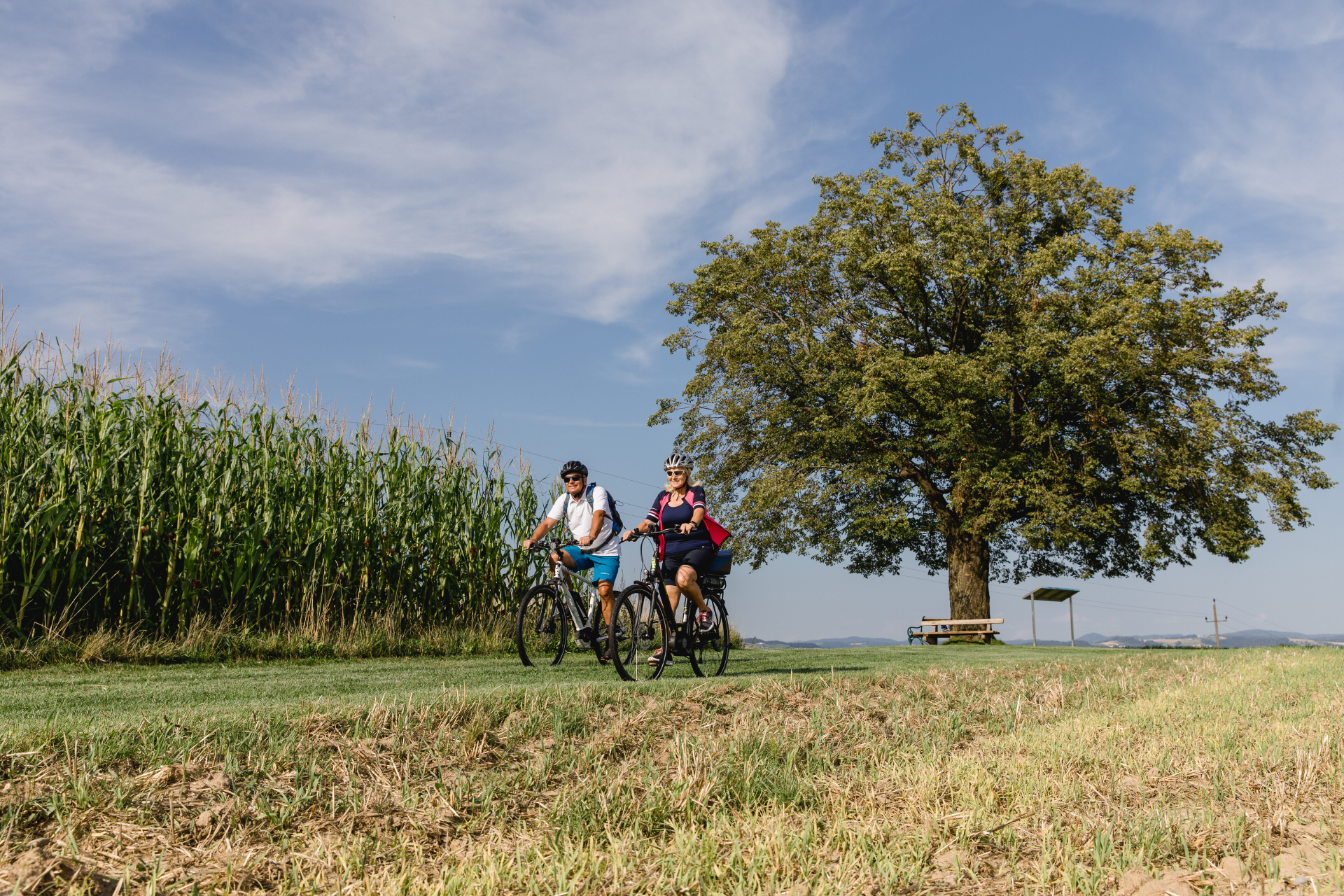 E-Bike-Radler am Drei-Flsse-Radrundweg bei Mauthausen